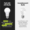 Feit Electric A19 LED Light Bulb, 60W Equivalent, Dimmable, 800