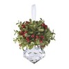 Ganz Kissing Krystal Acrylic Christmas Mistletoe Ornament with Hanger