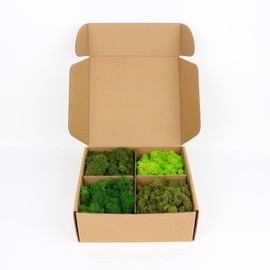 Preserved Moss 4 Color Reindeer Moss, Total 14OZ Each Color 3.5OZ, Colored Moss for Moss Crafts, Moss Wall, Home Office Artistic Decoration Forest Green/Yellow Green/Leaves Green/Grass Green