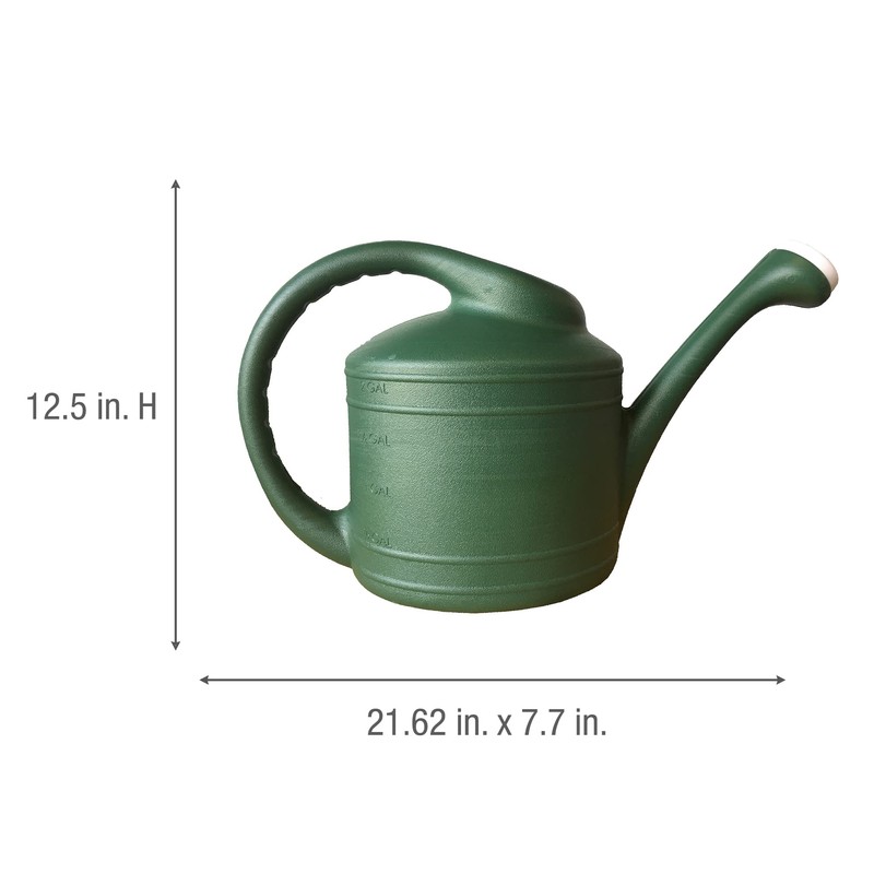 Southern Patio 2 Gallon Watering Can, Fern