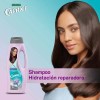 Shampoo Ácido Hialurónico Vitamina C 750 Ml Caprice
