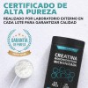 Creatina Monohidratada Micronizada Polvo Pre Workout 100 Alta Pureza Certificada