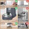 Automatic Cat Feeder and Water Dispenser with Stainless Steel Bowl