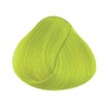 4 x New La Riche Directions Semi-Permanent Hair Colour 88