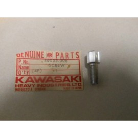 Kawasaki NOS Kawasaki Adjusting Screw 73-75 KZ900/S1 69-75 H1 72-75 H2 72-73 S2 46055-006