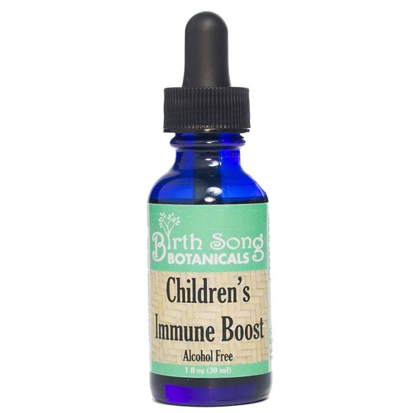 Birth Song Botanicals Organic Children's Immune System Booster Tincture, Herbal Echinacea Supplement, 1oz Bottle