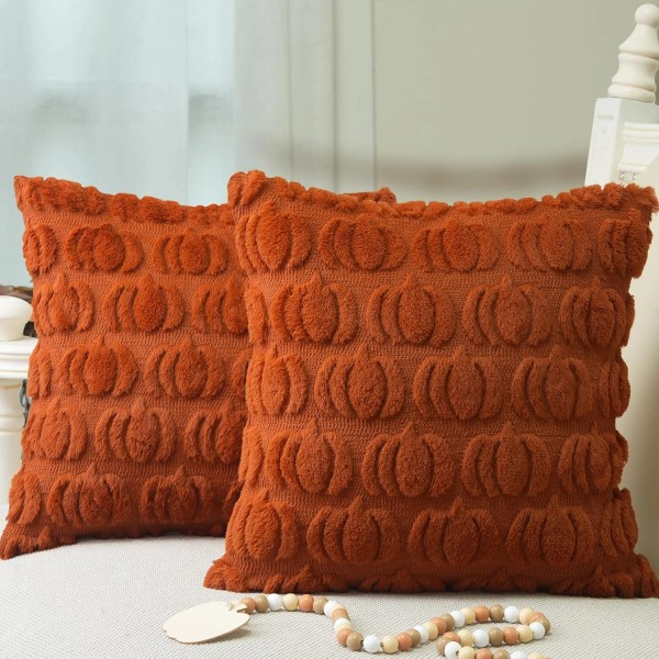 Fall Pillow Covers 18 X 18 Inch Set of 2,