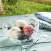 Guzzini Venice - Plastic Acrylic Bowl - Ice Cream Dessert