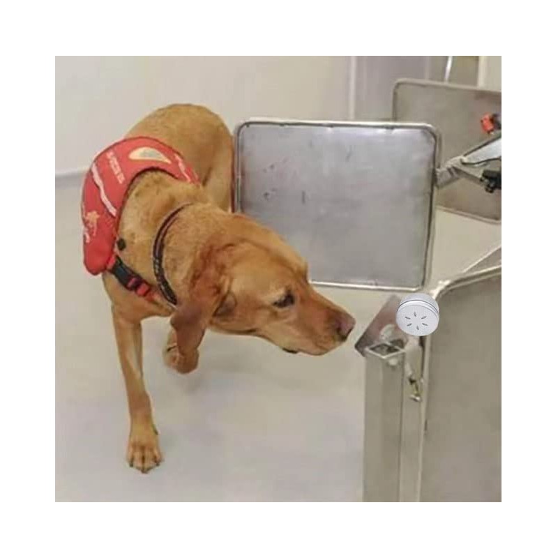 12 Pack Dog Nose Metal Container with 12 Magnetic Dogs