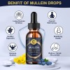 2 PACK Mullein Drops for Lungs, Detox and Cleanse Mullein