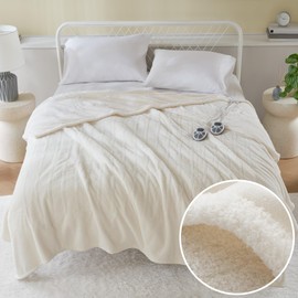 Serta Heated Blanket, Eletric Queen Size Blanket, Soft, Warm, Fuzzy Heating Blanket Queen for Office, Couch, 1-12 hr Auto Shut Off Timer, 10 Lv Heat Setting, ETL Certified, Queen 84" x 90" Ivory