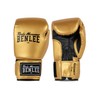 Benlee Rocky Marciano PU Training Glove Rodney - Gold/Black, 10oz
