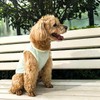 2Pcs Cooling Shirts for Small Dogs, Sleeveless Dog Vest, Lightweight