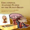 Genius Games Human Head Anatomy Puzzle - Adult Jigsaw Puzzles
