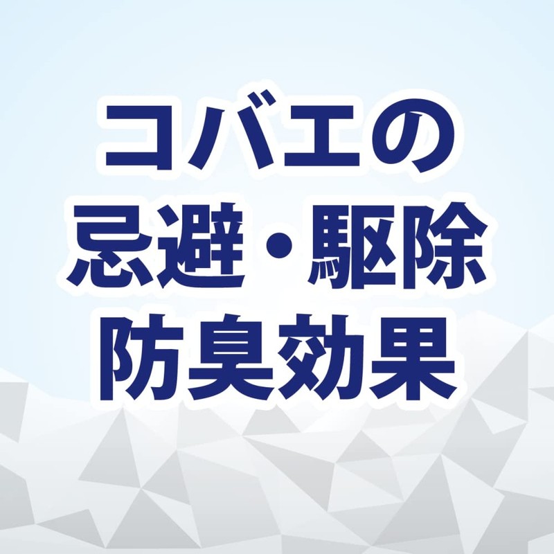 Kincho Koba Economers for Trash Cans, Deodorizer, Light Scent, Corrosion