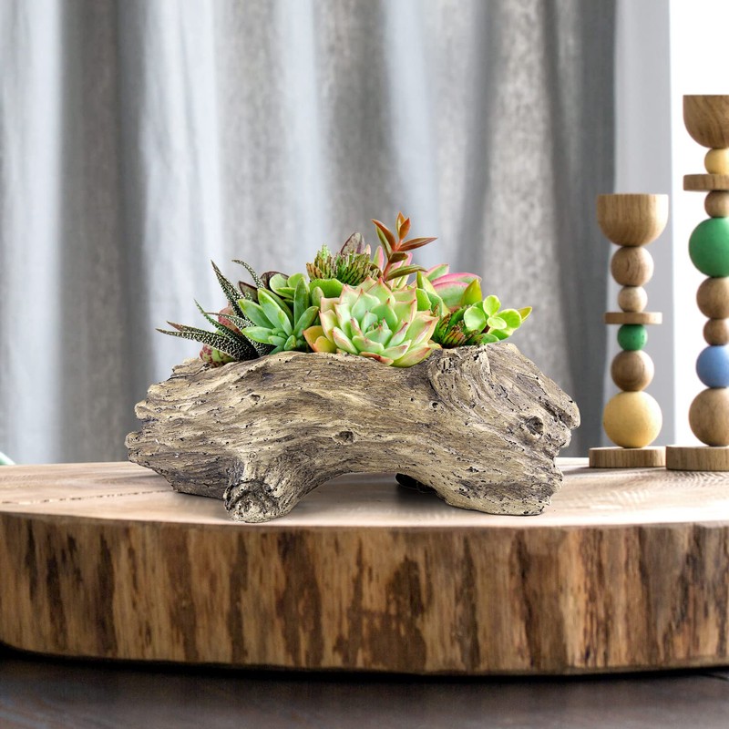 Aclema Succulent Planters Driftwood Planter Succulent Pots Small Plant Flower