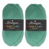 Scheepjes Colour Crafter Solid Pack 2 x 150g - Ameland