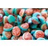 NY Spice Shop Gummies Soft Gummy Candies Brains Shape Premium