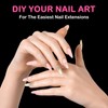 Nail Tips, Almond, Pack of 550 Tips for Gel Nails,