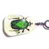 SUPER SPECIAL INSECT GIFT NECKLACE PENDANT - Green Rose Chafer