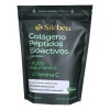 Sileben Colágeno Hidrolizado | Péptidos 2000 Dalton | 450 G