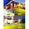Litglobe 100 W Outdoor LED Spotlight with Plug and 1.5
