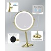 DOWRY 4000 mAh Rechargeable Lighted Makeup Mirror 10x Magnification Vanity
