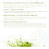 Te Verde Matcha Imperial Nice 100 Grs