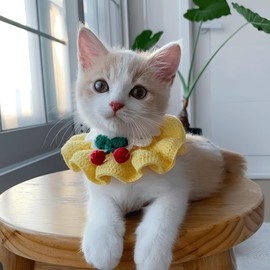 Cute Cat Bow Collar Breakaway Floral Aesthetic Cats Bowtie Collar Knitted for Indoor Cats Kitten and Small Dogs Puppies (S (4-9lbs))