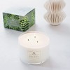 Soap & Paper Factory Roland Pine 18 oz Three-Wick Soy