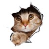 Winston & Bear 3D Cat Stickers 2 Pack - Peeking