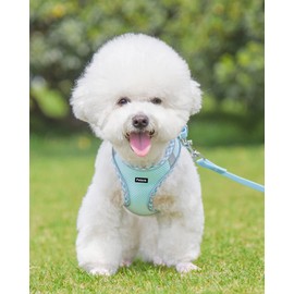 Petank Dog Harness for Small Medium Dogs No Pull, Puppy Harness and Leash Set, Easy Walk Dog Harness for Walking, Running, Training, Small Dog Harness, Medium Dog Harness (Light Blue, XXS)