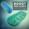 Nad Booster (60 Caps.) Beneficio Celular Antienvejecimiento