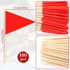 100 PCS Classic Red Toothpick Flags - Mini Solid Triangle