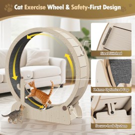 SEGAWE Cat Exercise Wheel 47"Cat Running Treadmill Wheel w/Locking Mechanism Cat Teaser