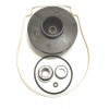 Pentair 073131 Impeller for 3HP Pentair whisperflo and intelliflo pumps