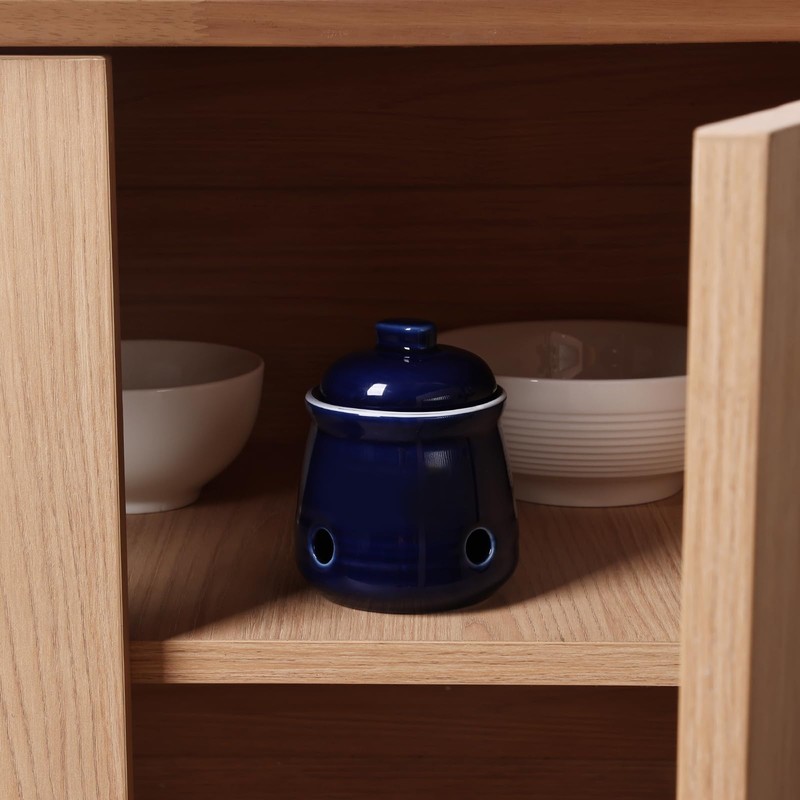 HAOTOP Ceramic Mini Garlic Keeper with Lid, Garlic Container Saver