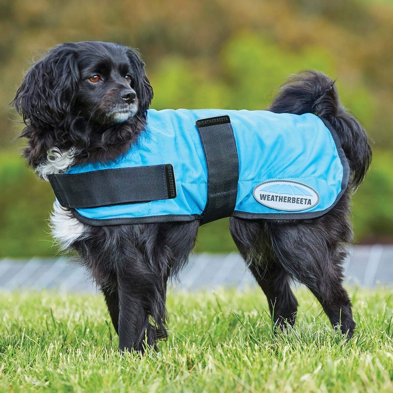 WeatherBeeta Therapy-Tec Cooling Dog Coat, Blue, 35cm
