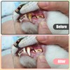 5 PCS Small Dog & Cat Toothbrush Micro Head, Puppy
