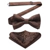HISDERN Men's Bowtie, One-Touch Paisley Pattern, Bowtie, Chief Set, For