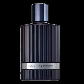 Isa Knox Age Focus Homme All-in-One Essence 120ml Whitening Wrinkle Care / 이자녹스 에이지 포커스 옴므 올인원 에센스 120ml 미백 주름케어