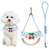 Jestrem No Pull Small Dog Harness and Leash Set