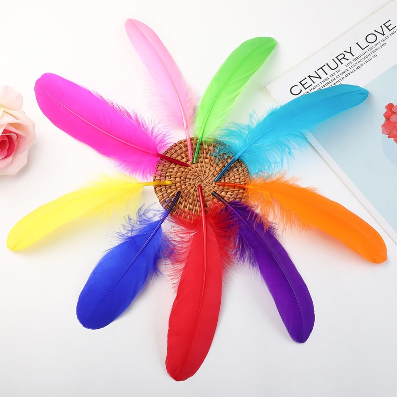 Ballinger Large Colored Goose Feathers Bulk for Crafts,120 PCS,6-8 Inch