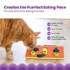 Catstages Melon Madness Puzzle & Play, Interactive Treat Puzzle Cat
