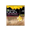 Garnier Olia Permanent Hair Dye, No Ammonia, with Flower Oils