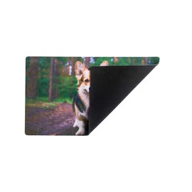 Produtos Profissionais de Elite 29.5"x 17.75" Vibrant Printed Decorative Doormat Non-Slip Door Mat Non-Woven Fabric with Skid-Resistant Rubber Backing Indoor and Outdoor Doormat (Cute Corgi Dog)