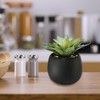 Winlyn Set of 3 Artificial Succulents Plants in Black Cement