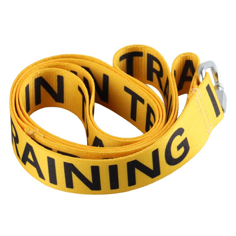 Nervous Dog Leash, Work Dogs, Rescue Dogs, Anxious Dogs, Gift