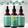 5-in-1 Mullein Drops for Lungs and Bronchial - Respiratory Lung