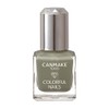 Canmake Colorful Nails 103 Lady Khaki 0.3 fl oz (8